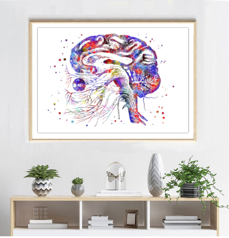Brain - Cranial Nerves Poster