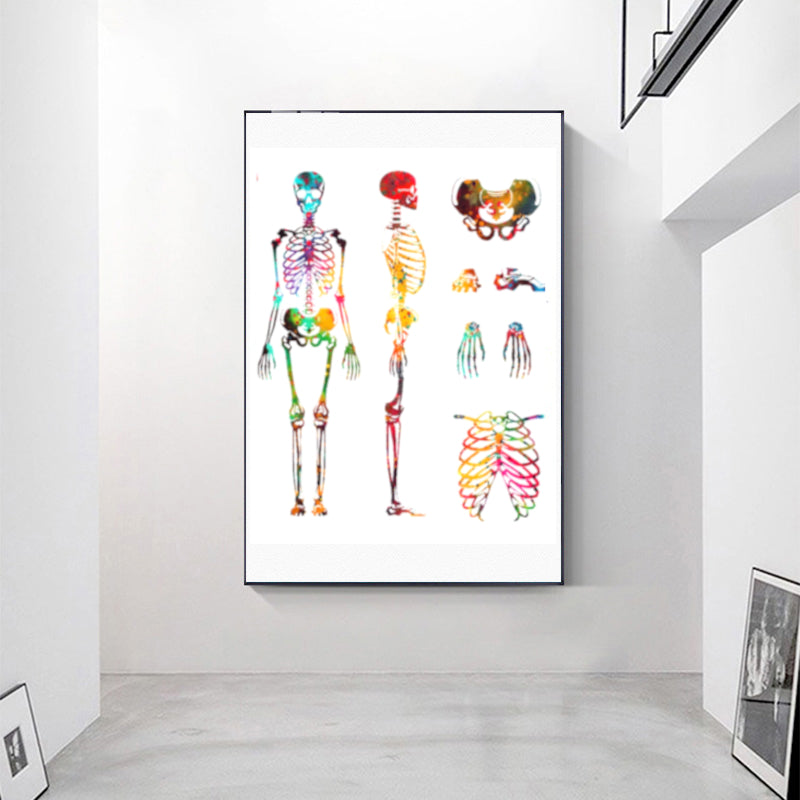 Human Skeleton  Poster