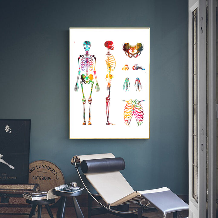 Human Skeleton Poster | Wall Art Poster | Fit For Icons