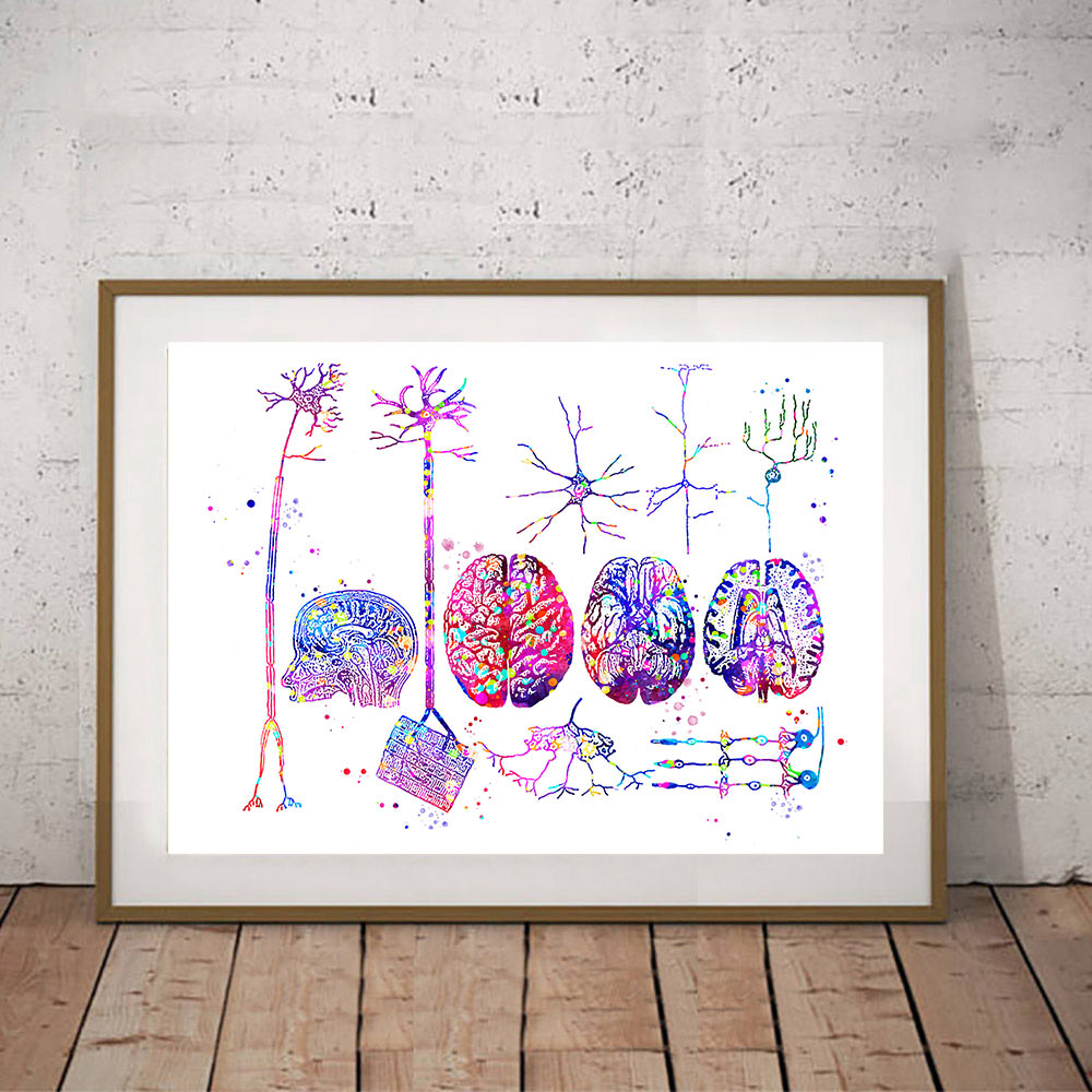 Brain Nervous System Poster - Educational Wall Art - Fit For Icons