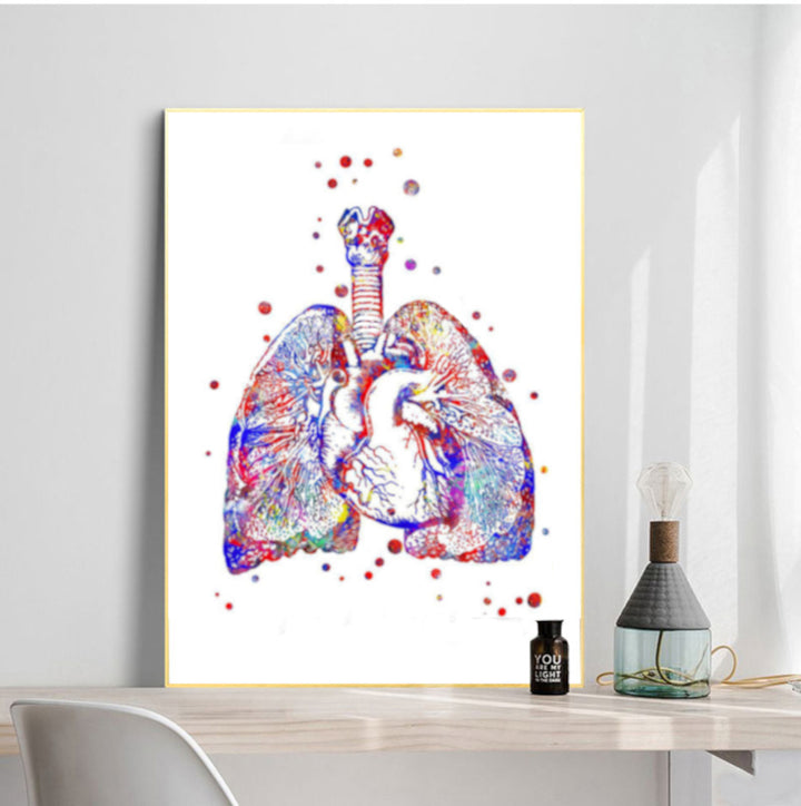 Lungs Cross Section Poster
